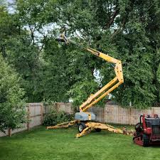 Best Emergency Tree Removal  in Towaco, NJ