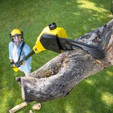 Best Lawn Grading and Leveling  in Towaco, NJ