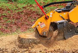 Best Lawn Disease Treatment  in Towaco, NJ