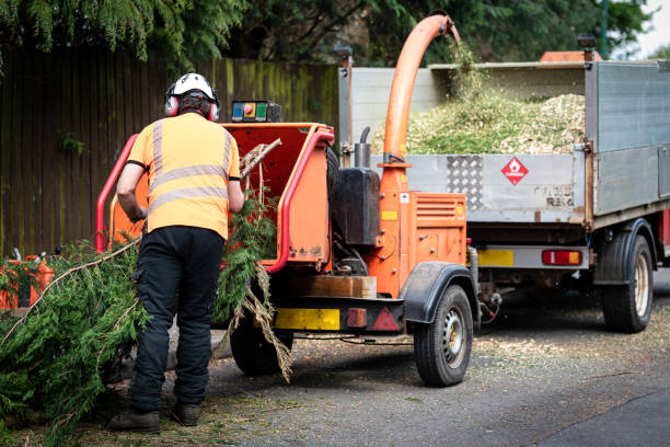 Best Aeration Services  in Towaco, NJ