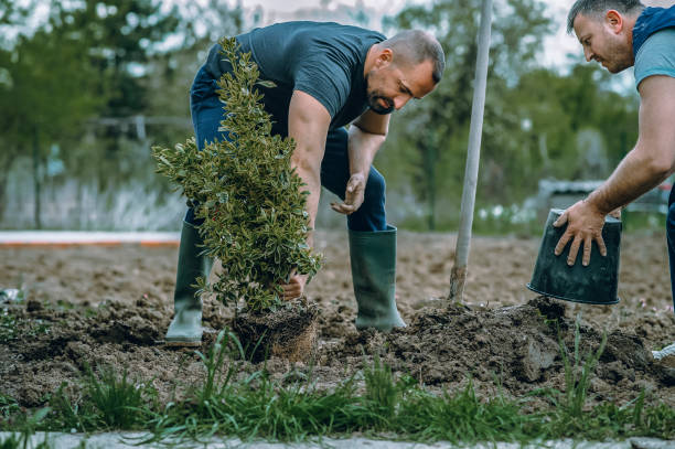  Towaco, NJ Tree Services Pros