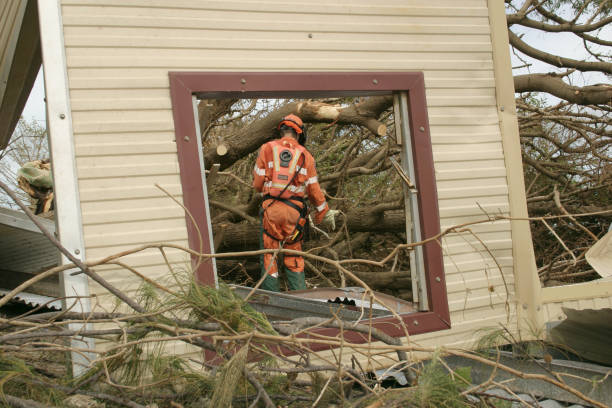 Trusted Towaco, NJ Tree Services Experts