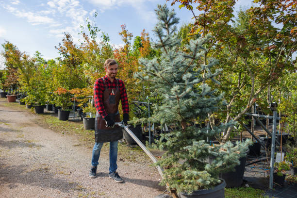 Best Weed Control  in Towaco, NJ